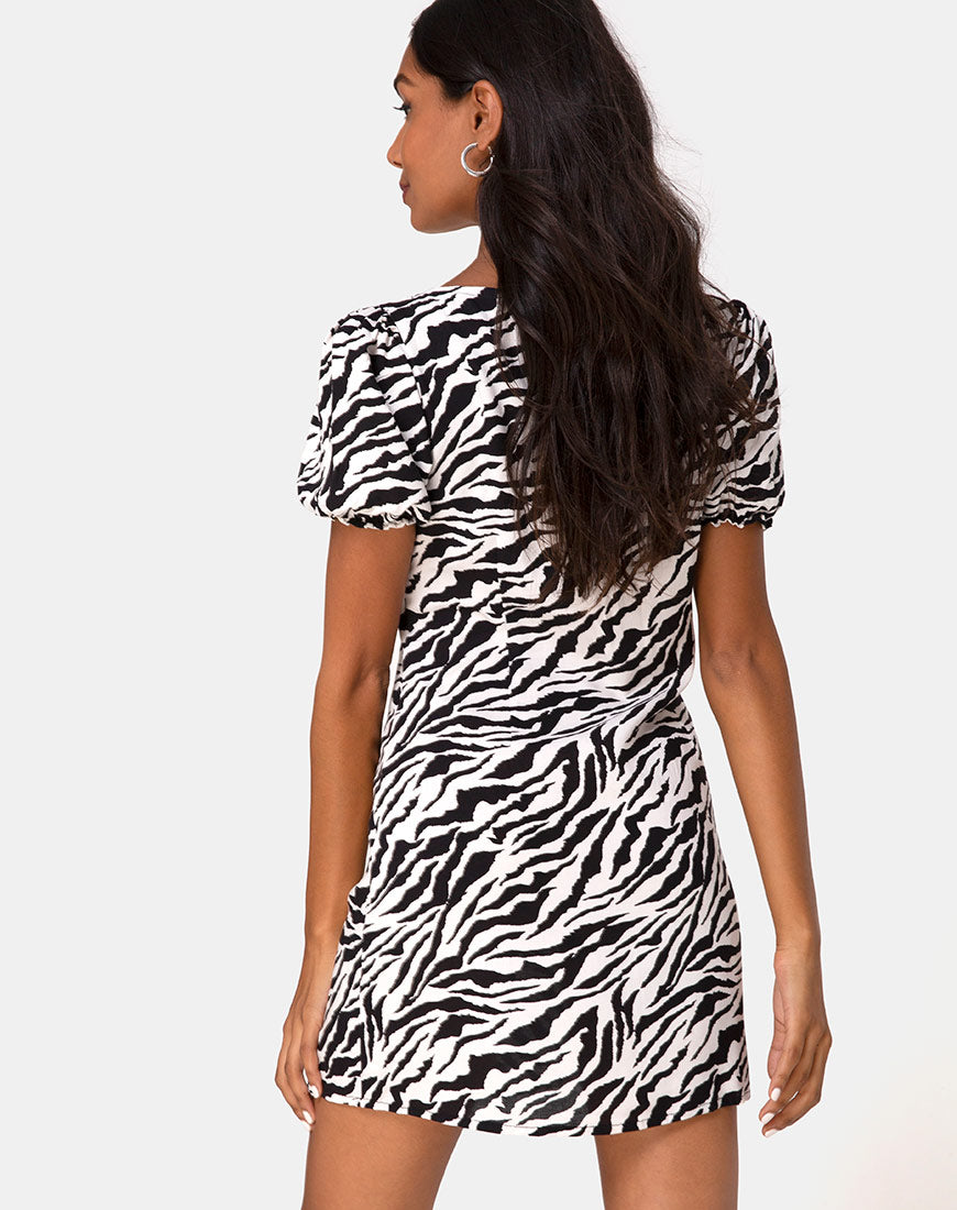 collusion zebra dress