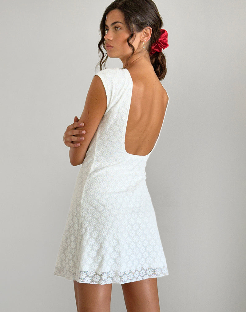 Ambu Mini Dress in Floral Lace Ivory