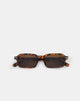 Image of Ortez Sunglasses in Opaque Tortoise Shell