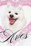 White with Aries Motel Pet Print