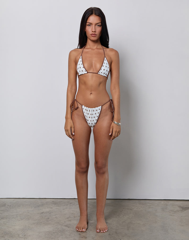 Image of Pami Bikini Top in White and Brown Star Print with Contrast Binding