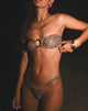 Image of Farida Bikini Bottom in Rar Leopard